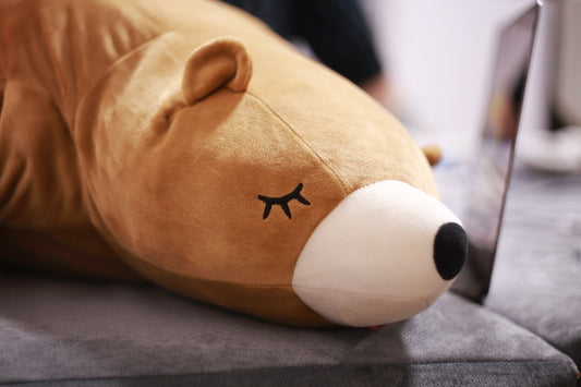 【ぬいぐるみを自宅で洗濯する方法】そもそも自宅で洗えるの?
